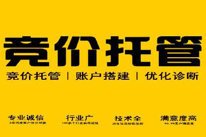 案例解析：竞价SEM托管助力电商增长